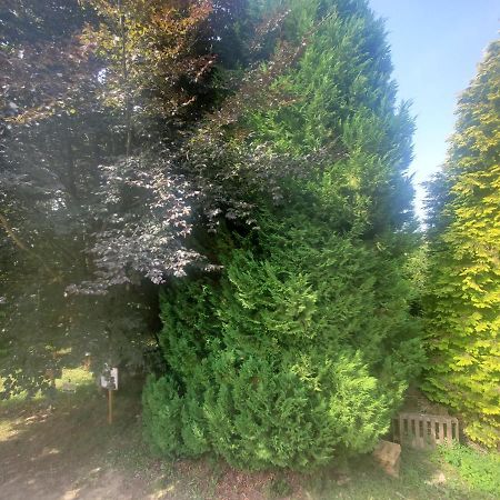 Bed and Breakfast Camden House Aubry-le-Panthou Exterior foto